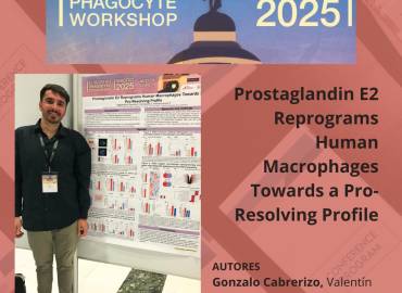 European Phagocyte Workshop 2025