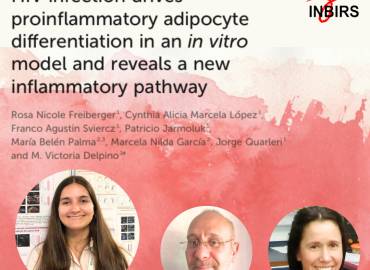 ¿Cómo impacta el HIV en el tejido adiposo?