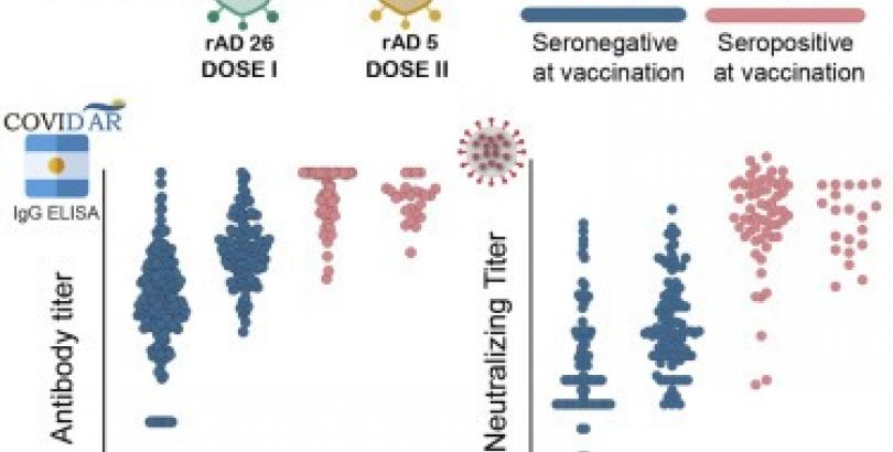  Desde el @inbirsar celebramos la publicación del trabajo denominado “Sputnik V Vaccine Elicits Seroconversion and Neutralizing Capacity to SARS CoV-2 after a Single Dose”. 