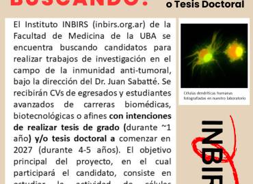 ¡Sumate al INBIRS para hacer investigación en inmunidad y cáncer!