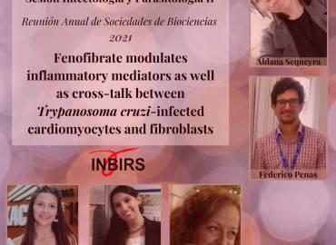 “Mejor e-póster” de la sesión Infectología y Parasitología II de la Sociedad Argentina de Investigación Clínica 