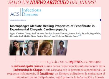 En el Día Mundial de la Enfermedad de Chagas, queremos compartir un nuevo trabajo realizado por investigadores del laboratorio de “Fisiopatología de la Inflamación” del INBIRS. 
